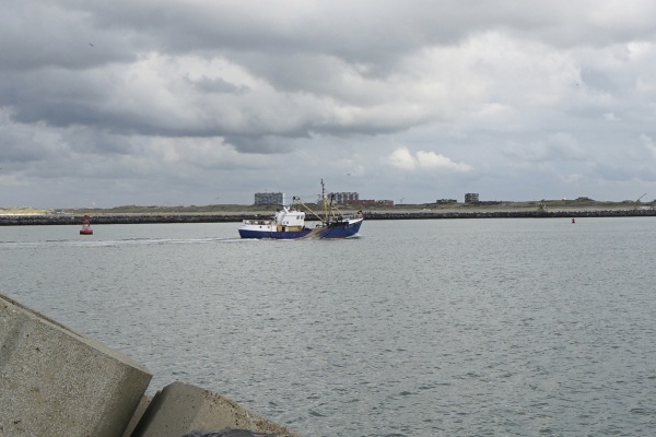 Port Oostende fishery
