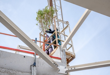 Meiboomviering Entrepotgebouw